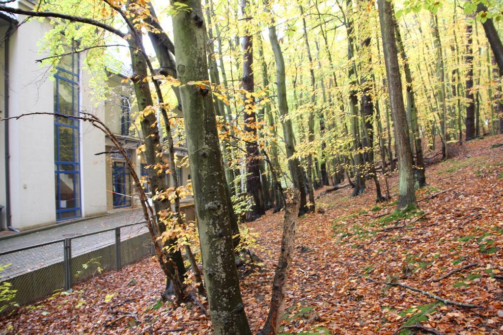 Kwatera prywatna Leśny Sopot